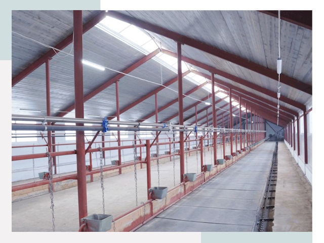 Строительство коровников в Протвине от 611 руб.