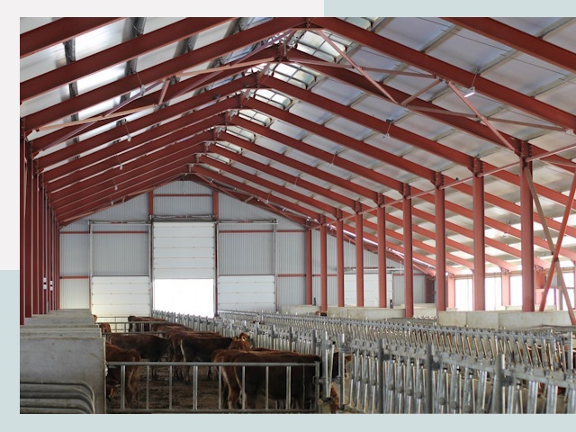 Строительство коровников в Протвине