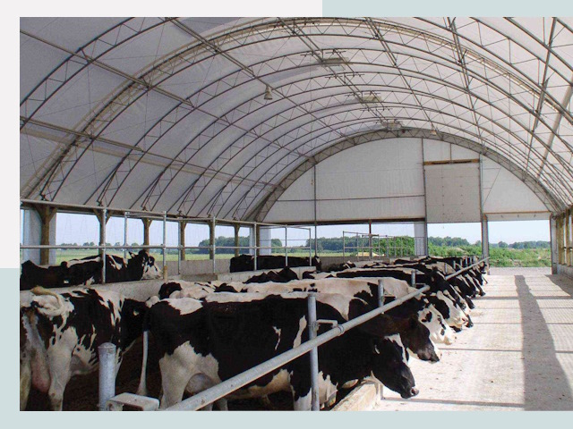 Тентовые коровники в Протвине